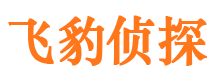 桂平商务调查